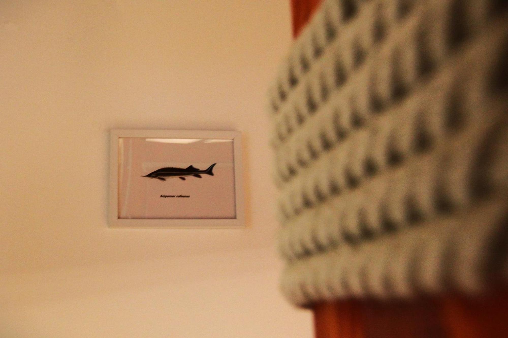 Goldcentral Danube Apartment